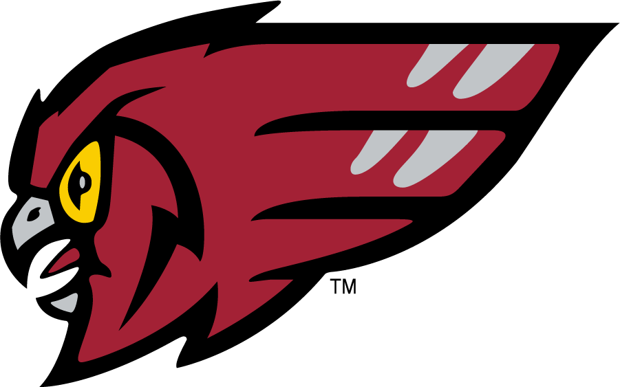 Temple Owls 1996-2011 Secondary Logo diy iron on heat transfer